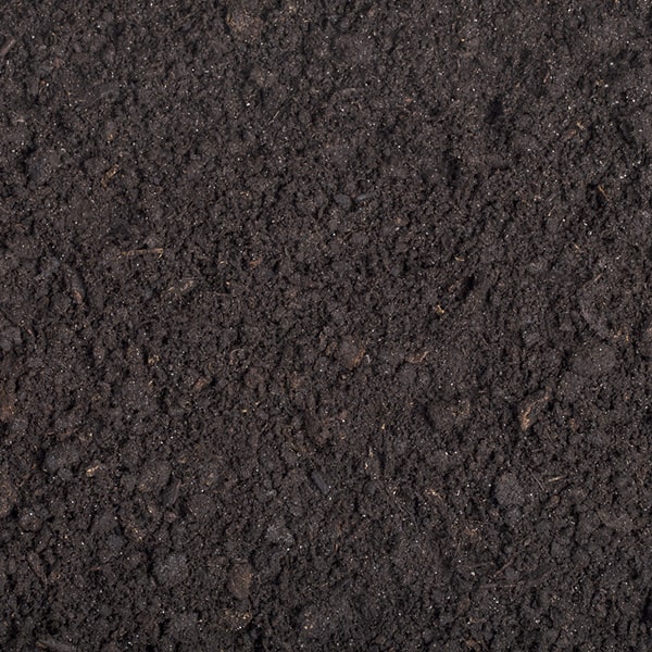 compost can improve soil quality, provide essential nutrients to plants, and help retain moisture in the soil